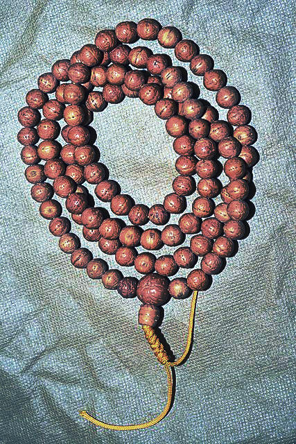 A garland of circular brown beads with some grooves and texture. The string is curled up several times to fit it in the frame. The final terminating bead is twice the size of the others, out of which a gold string emerges in a braid.