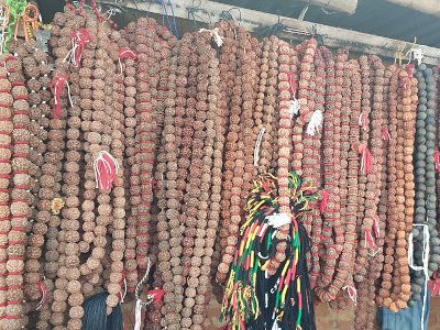 A street vendor display of dozens of rudraksha malas, hanging together from a rafter. The beads are round, wrinkled seeds that are varying hues of brown and red (although one at the end is black). They have red separators between the beads, and red and white tassles at the end.